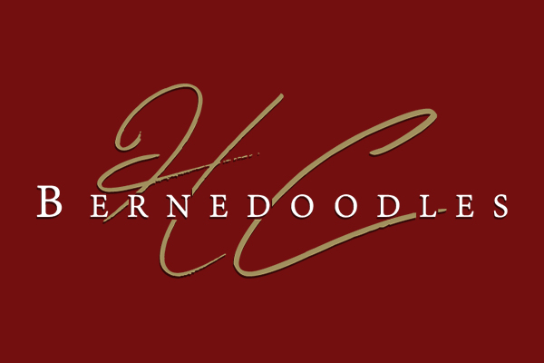 HC Bernedoodles - Logo