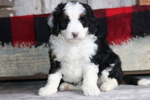 Burma