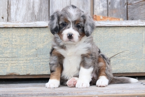 Oona