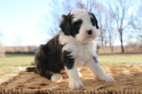 Hudson