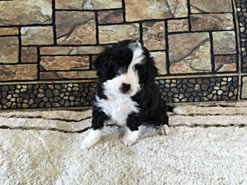 Gabby