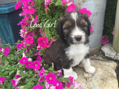 Lena